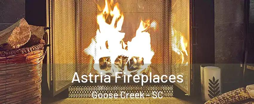  Astria Fireplaces Goose Creek - SC