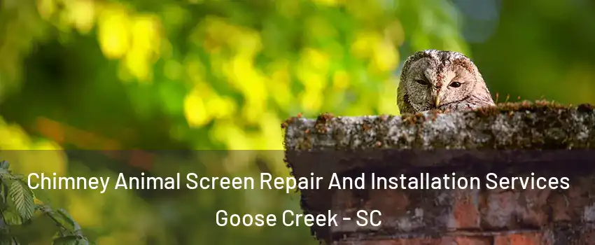  Chimney Animal Screen Repair And Installation Services Goose Creek - SC