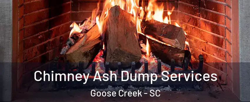  Chimney Ash Dump Services Goose Creek - SC