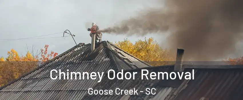  Chimney Odor Removal Goose Creek - SC
