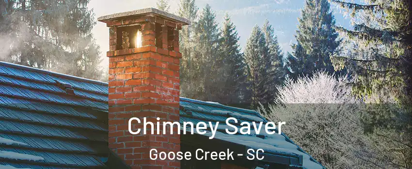  Chimney Saver Goose Creek - SC