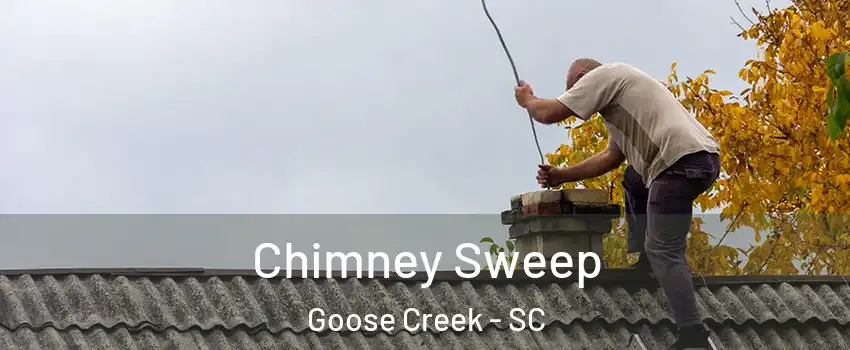  Chimney Sweep Goose Creek - SC