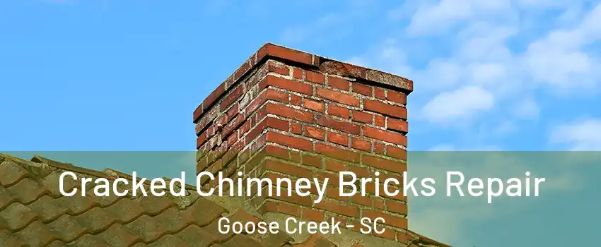  Cracked Chimney Bricks Repair Goose Creek - SC