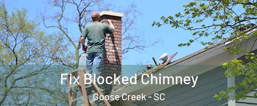  Fix Blocked Chimney Goose Creek - SC