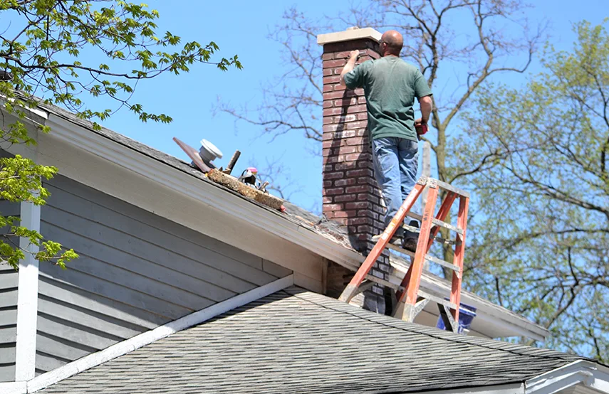 Chimney & Fireplace Inspections Services in Goose Creek, SC