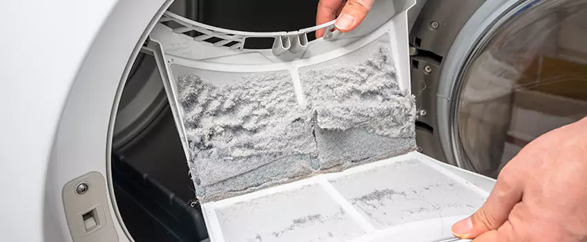 Best Dryer Lint Removal Company in Goose Creek, South Carolina