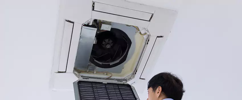 Benefits of Professional Air Duct Cleaning in Goose Creek, South Carolina