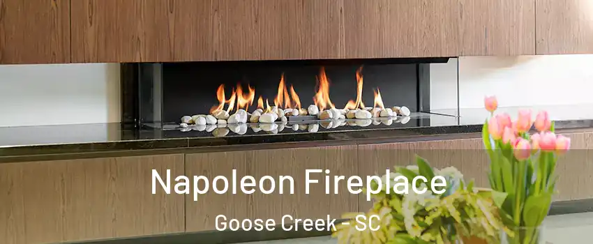  Napoleon Fireplace Goose Creek - SC