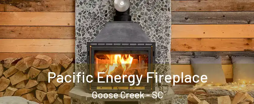  Pacific Energy Fireplace Goose Creek - SC